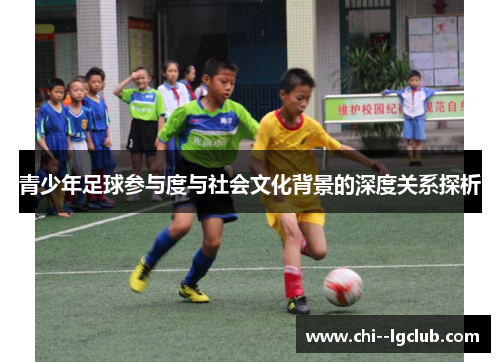 青少年足球参与度与社会文化背景的深度关系探析